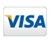 Visa Logo